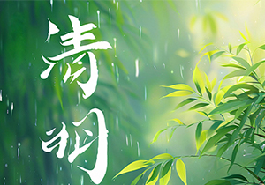 清明寄思情｜春日启新章